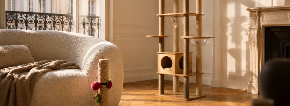 Salon avec un grand arbre à chat en bois au fond et un poteau à griffer posé contre un canapé