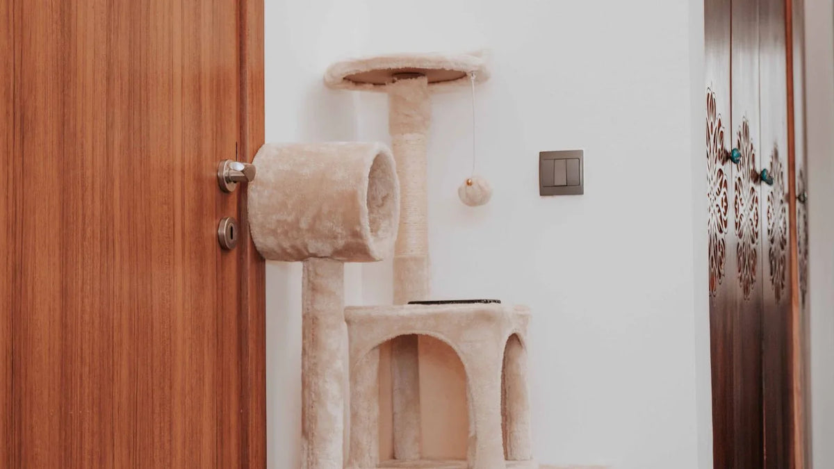 Arbre à chat beige entier posé le long d'un mur, avec tunnel, niche et plateau supérieur
