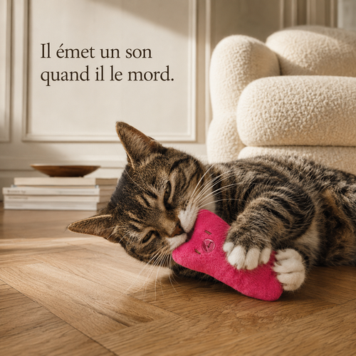 Chat couché qui mord le jouet à mâcher garni d'herbe à chat