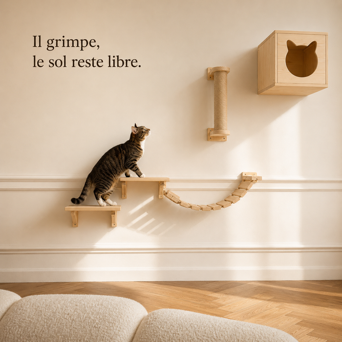 Le parcours mural posé sur un pan de mur, le chat en train de monter