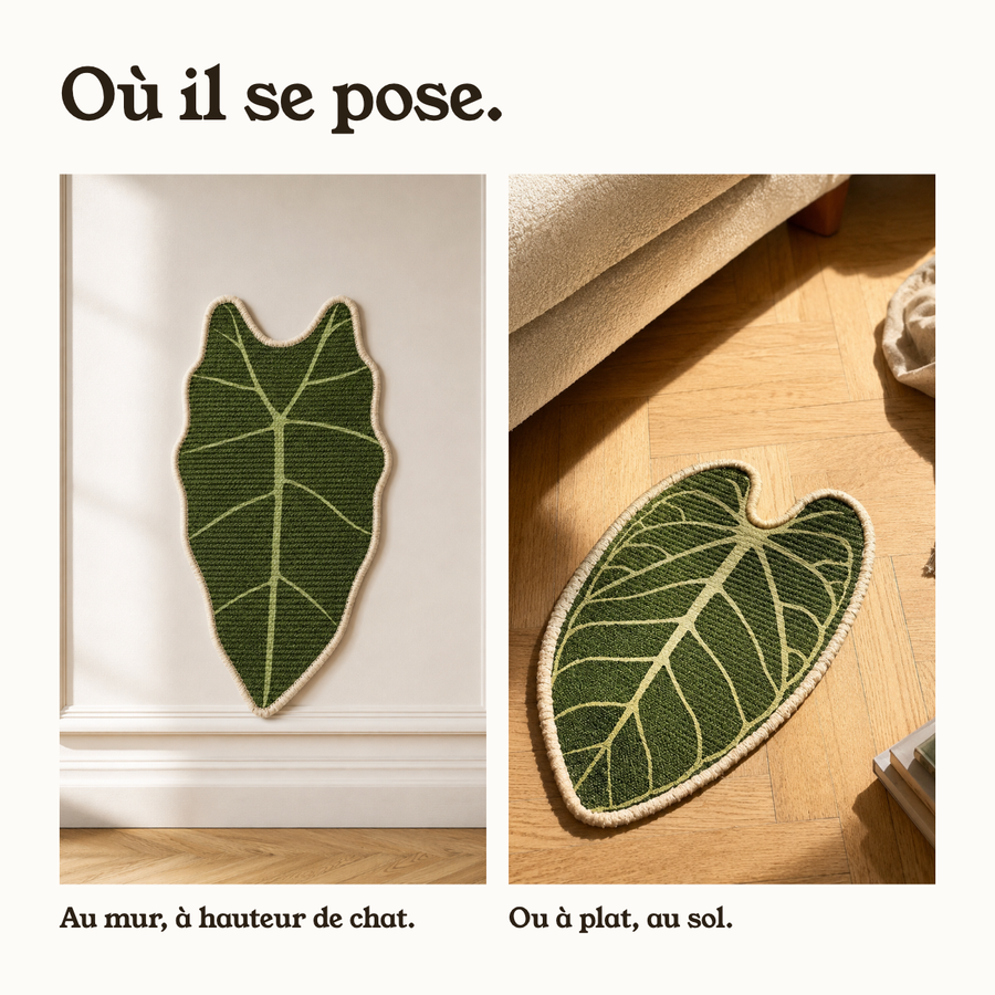 Griffoir feuille fixé au mur ou posé à plat au sol