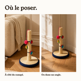Le griffoir posé à côté du canapé ou dans un angle du salon