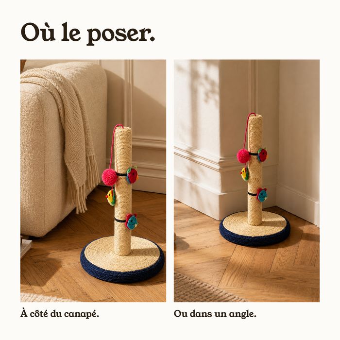 Le griffoir posé à côté du canapé ou dans un angle du salon