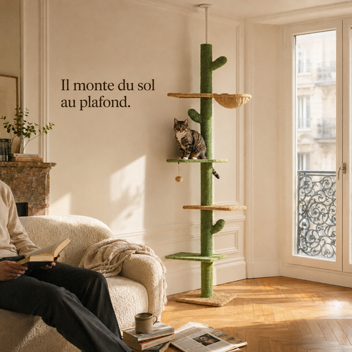 Arbre à chat cactus calé du sol au plafond dans un salon parisien habité