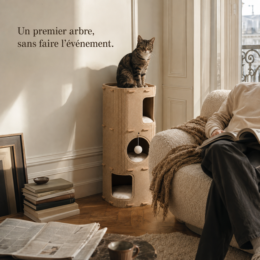 Tour-nid en feutre camel dans un salon parisien habité, le chat sur le plateau du haut