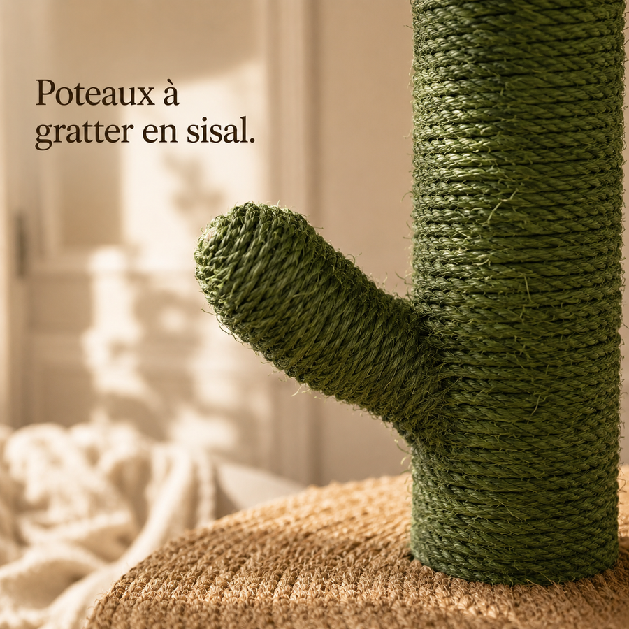 Corde de sisal verte du tronc cactus, détail de matière