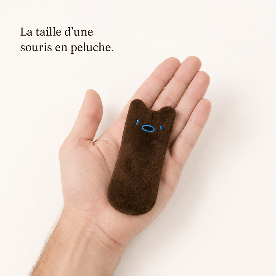 Le jouet à mâcher posé dans une paume, taille d'une souris en peluche