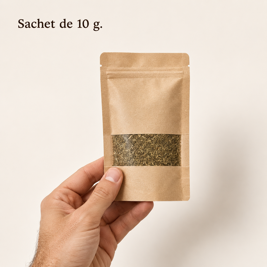 Le sachet de 10 g d'herbe à chat séchée tenu dans une main