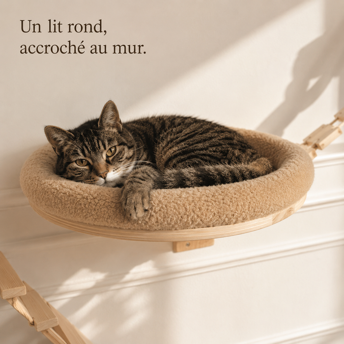 Chat couché dans le lit mural rond du parcours