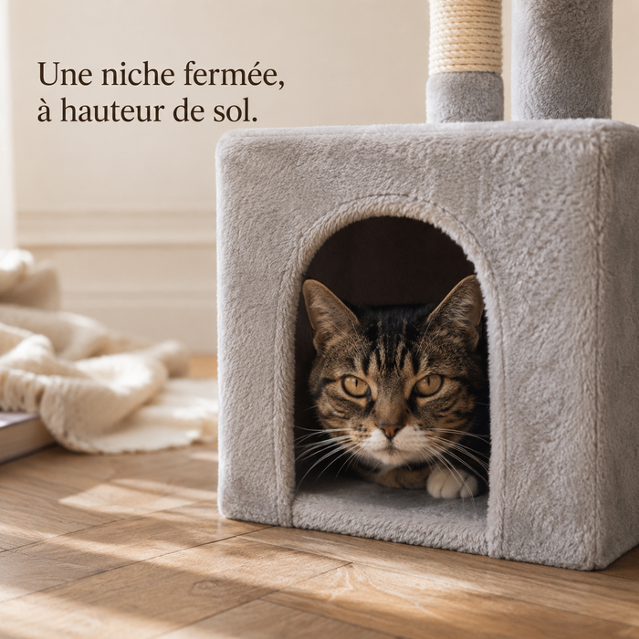Chat installé dans la niche fermée de l'arbre à chat compact