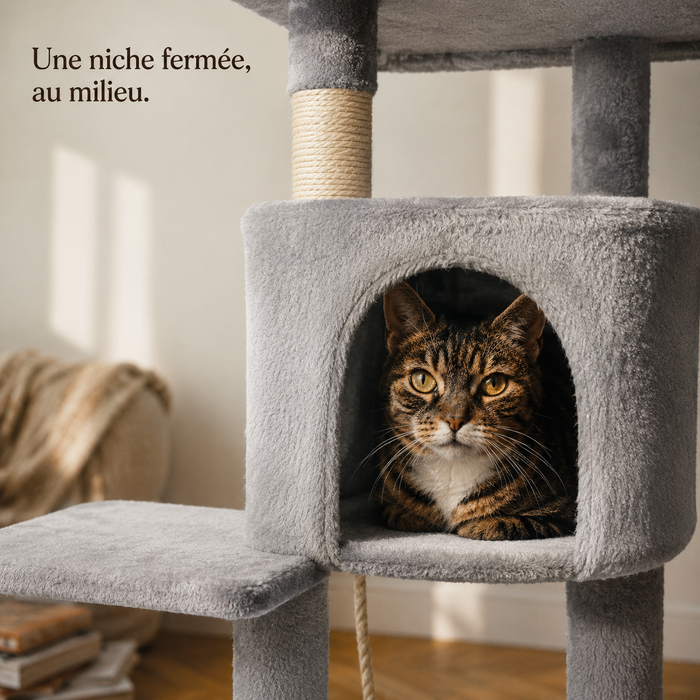 Chat installé dans la niche fermée de l'arbre à chat gris
