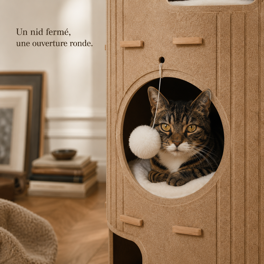 Chat installé dans le nid fermé, ouverture ronde et pompon suspendu