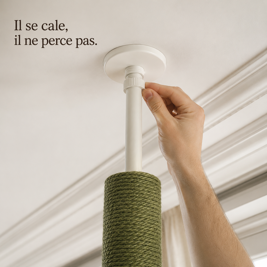 Embout réglable de l'arbre à chat pressé contre le plafond, sans perçage