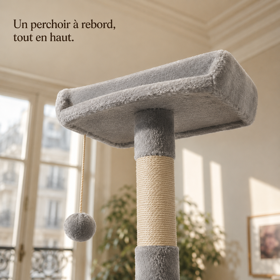 Perchoir supérieur à rebord de l'arbre à chat gris