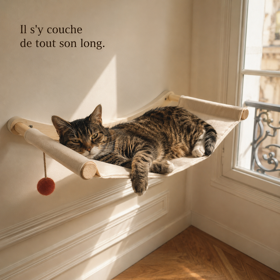 Chat couché de tout son long dans le hamac mural