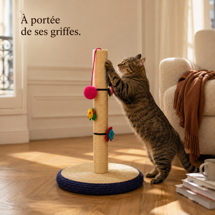 Chat dressé qui griffe le poteau en sisal près du canapé