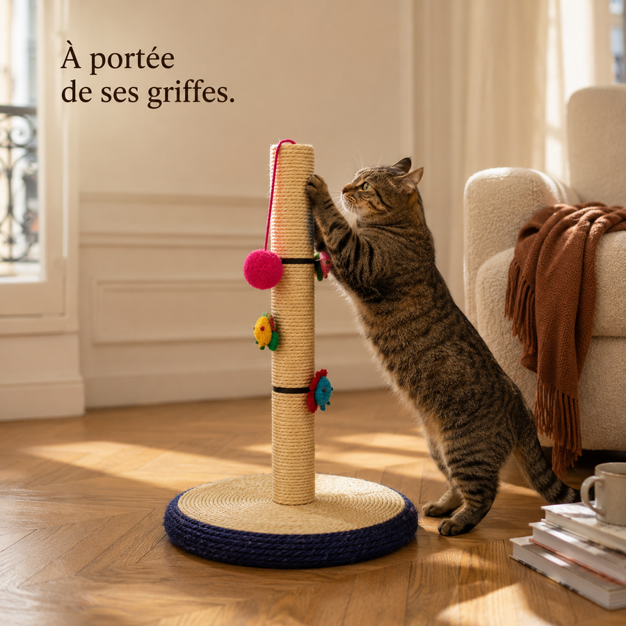 Chat dressé qui griffe le poteau en sisal près du canapé