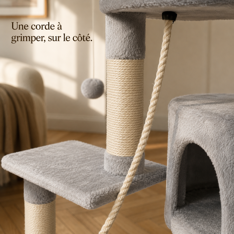 Corde de sisal suspendue le long de l'arbre à chat gris