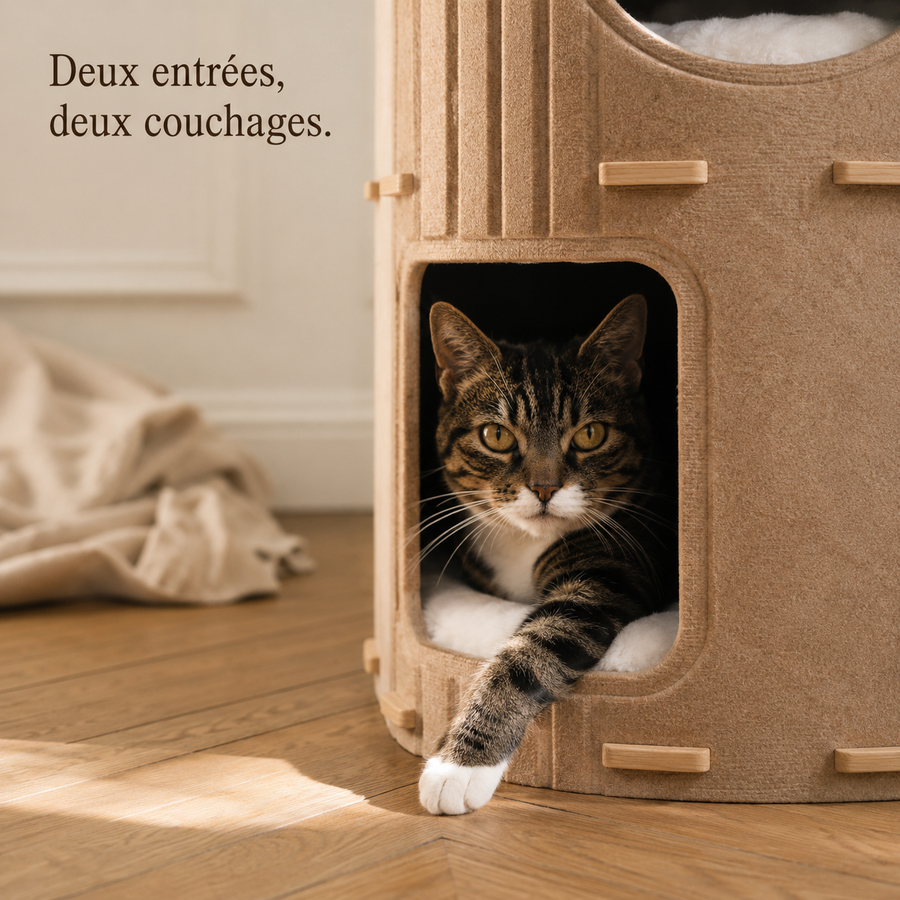 Chat couché dans l'ouverture carrée du module bas