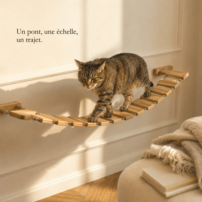 Chat qui traverse le pont suspendu en lattes de bois du parcours mural