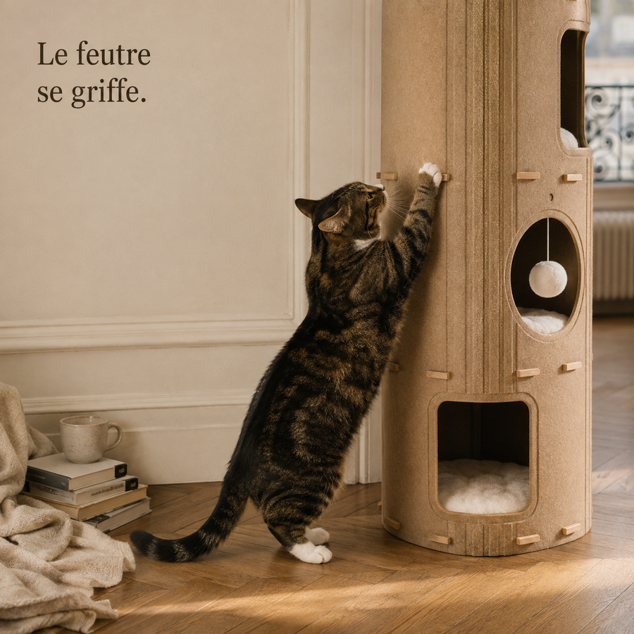 Chat qui gratte la paroi en feutre de la tour-nid