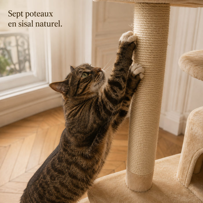 Chat qui griffe un poteau en sisal naturel de l'arbre à chat