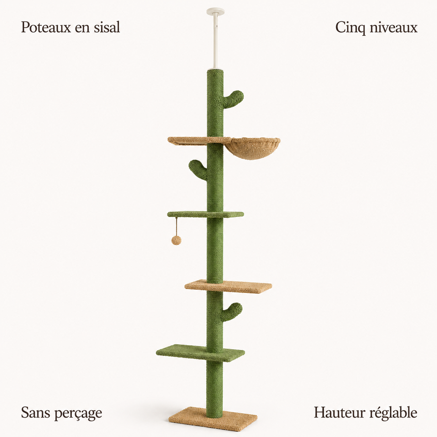 Arbre à chat cactus : poteaux en sisal, cinq niveaux, hauteur réglable, sans perçage