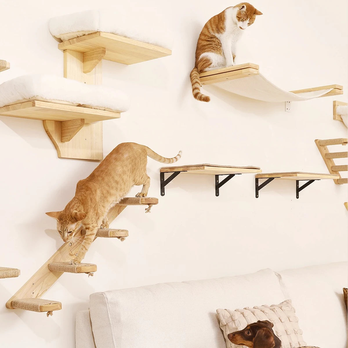 Hamac mural pour chat