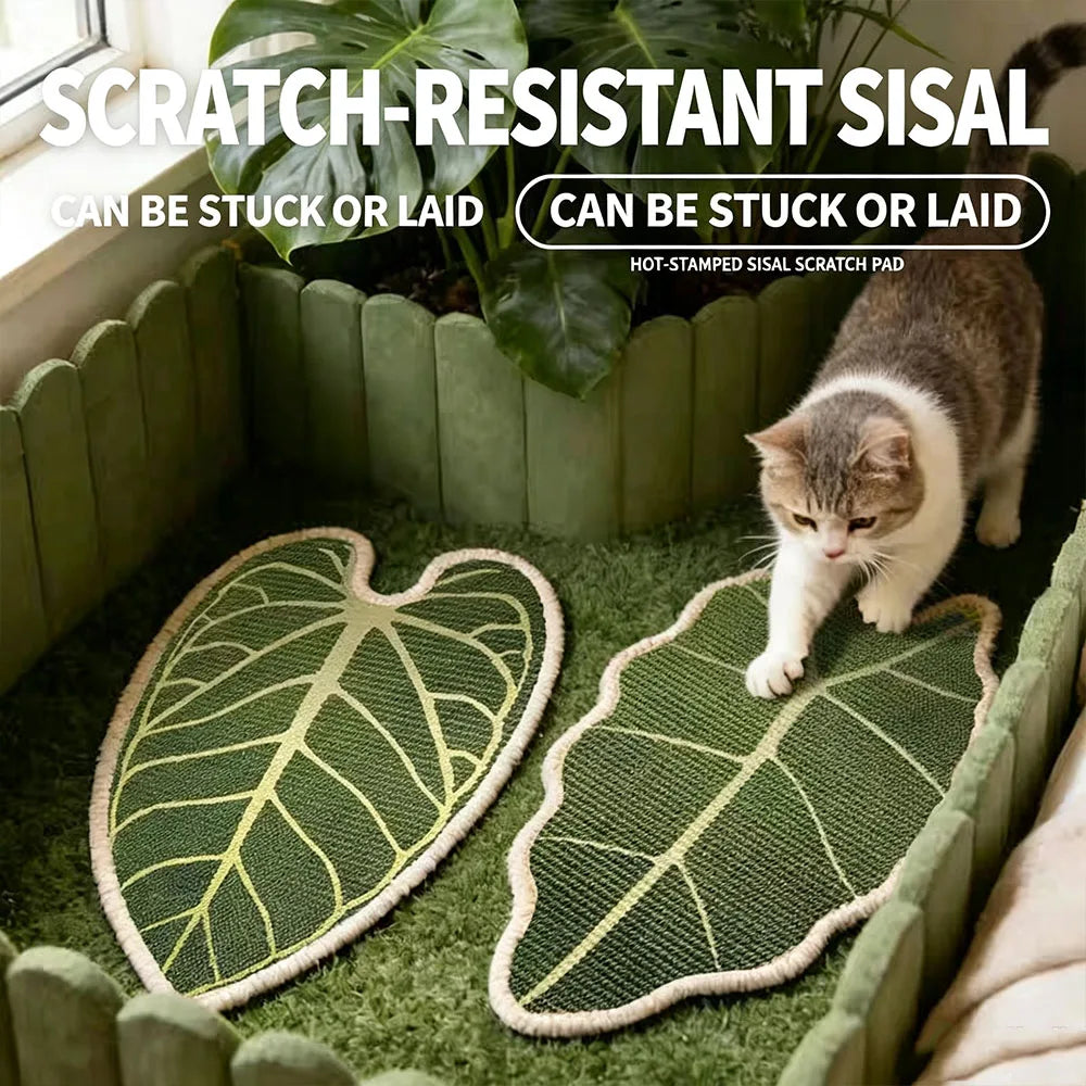 Griffoir mural en sisal, forme feuille