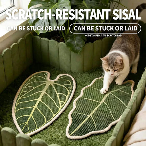 Griffoir mural en sisal, forme feuille