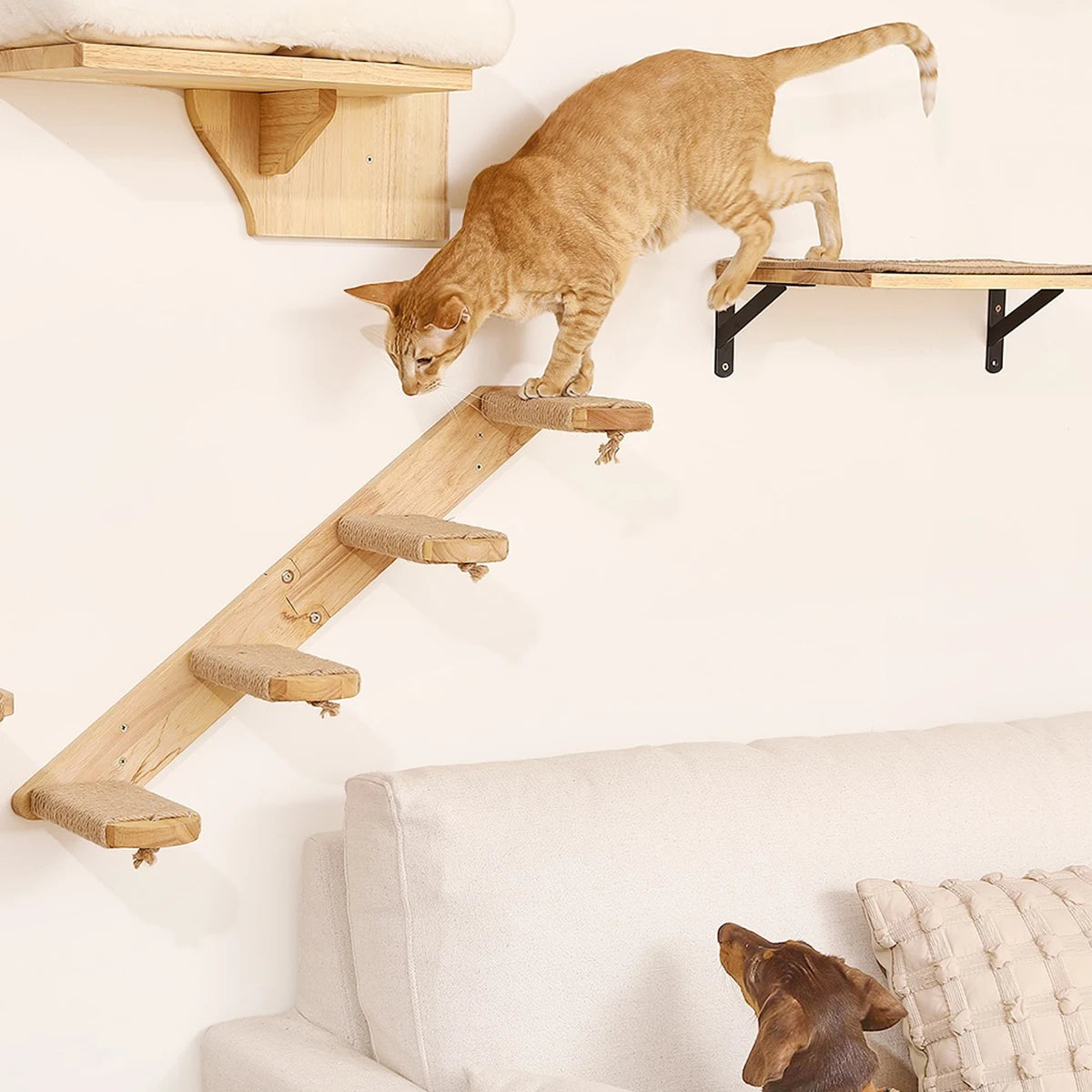 Hamac mural pour chat