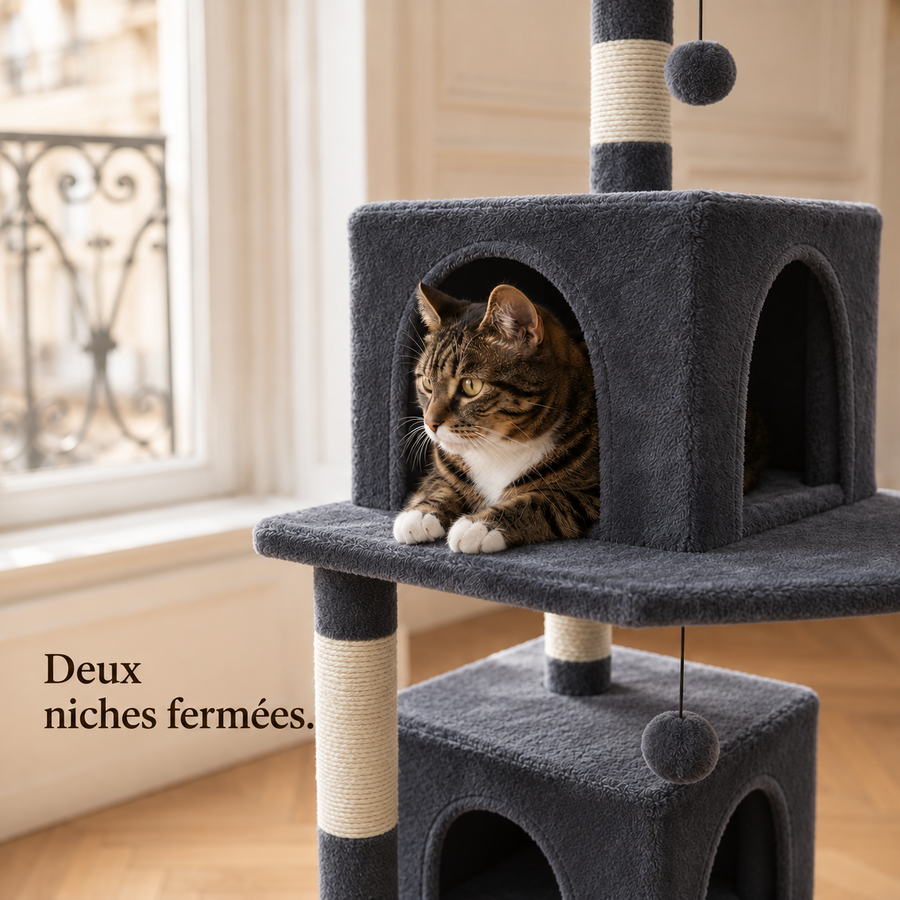 Chat installé dans la niche fermée de l'arbre à chat 184 cm gris anthracite