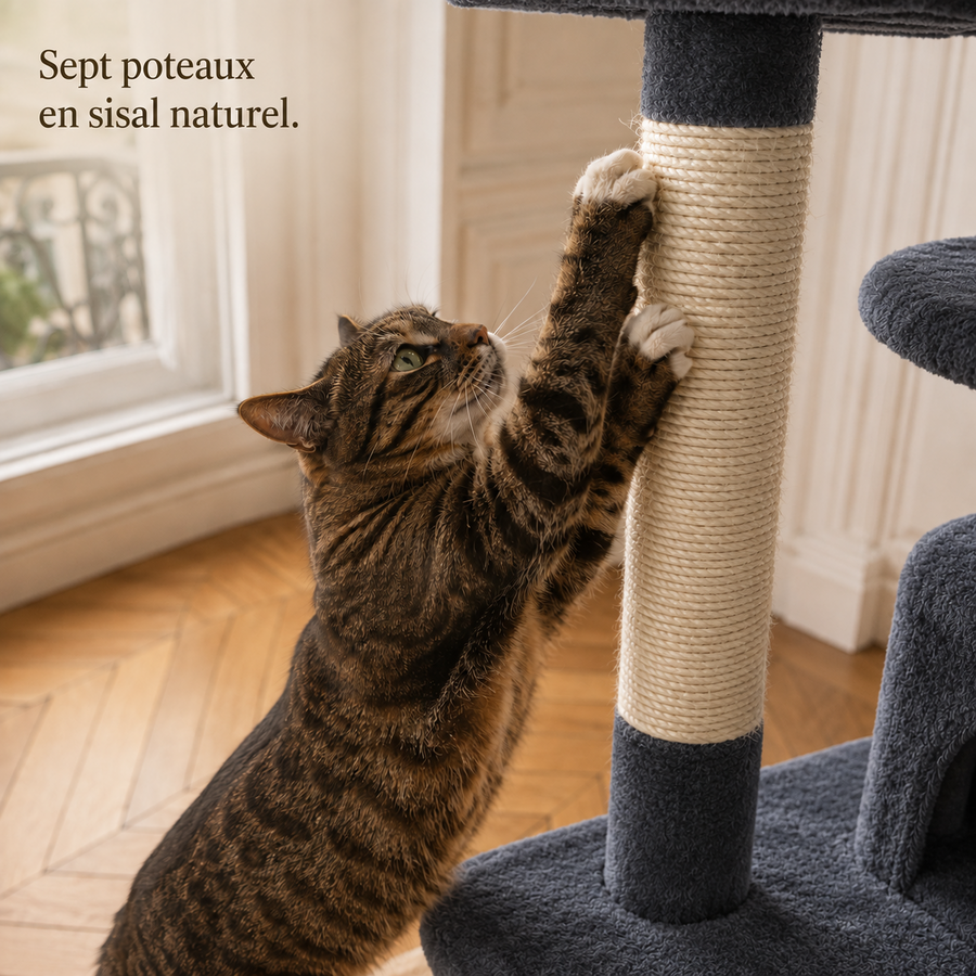 Chat qui griffe un poteau en sisal naturel de l'arbre à chat 184 cm gris anthracite