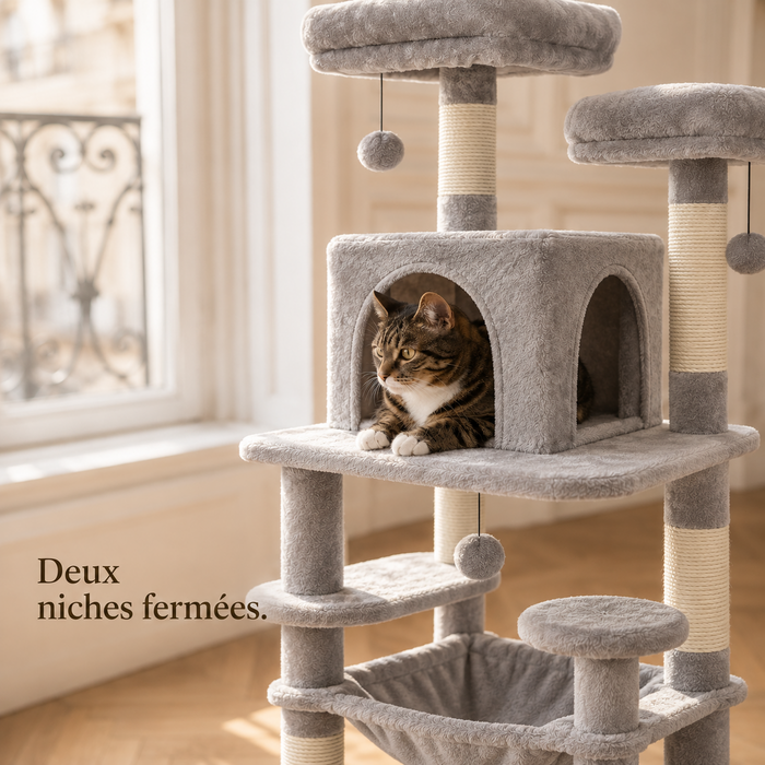 Chat installé dans la niche fermée de l'arbre à chat 184 cm gris clair