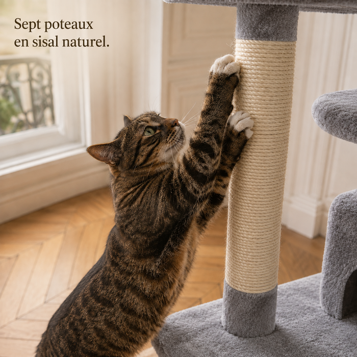 Chat qui griffe un poteau en sisal naturel de l'arbre à chat 184 cm gris clair