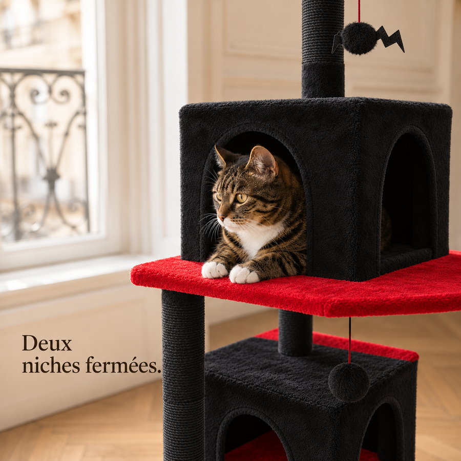 Chat installé dans la niche fermée de l'arbre à chat 184 cm noir et rouge