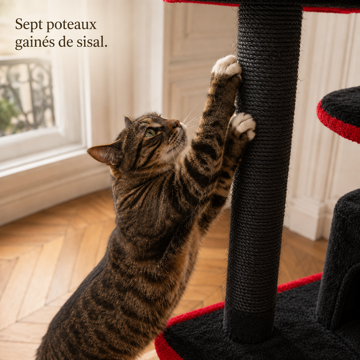 Chat qui griffe un poteau en sisal teinté noir de l'arbre à chat 184 cm noir et rouge