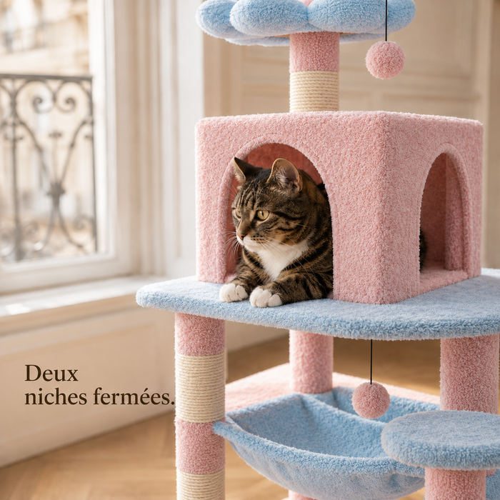 Chat installé dans la niche fermée de l'arbre à chat 184 cm rose et bleu