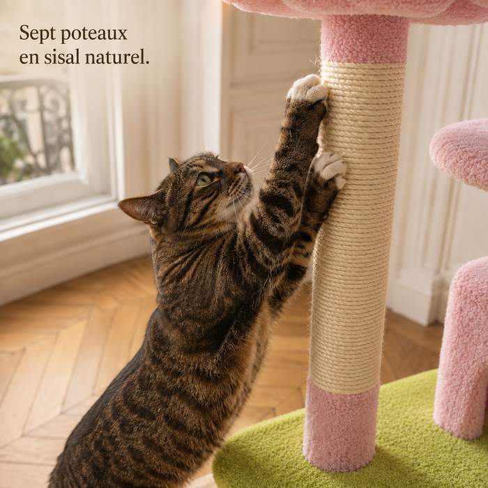 Chat qui griffe un poteau en sisal naturel de l'arbre à chat 184 cm rose et vert