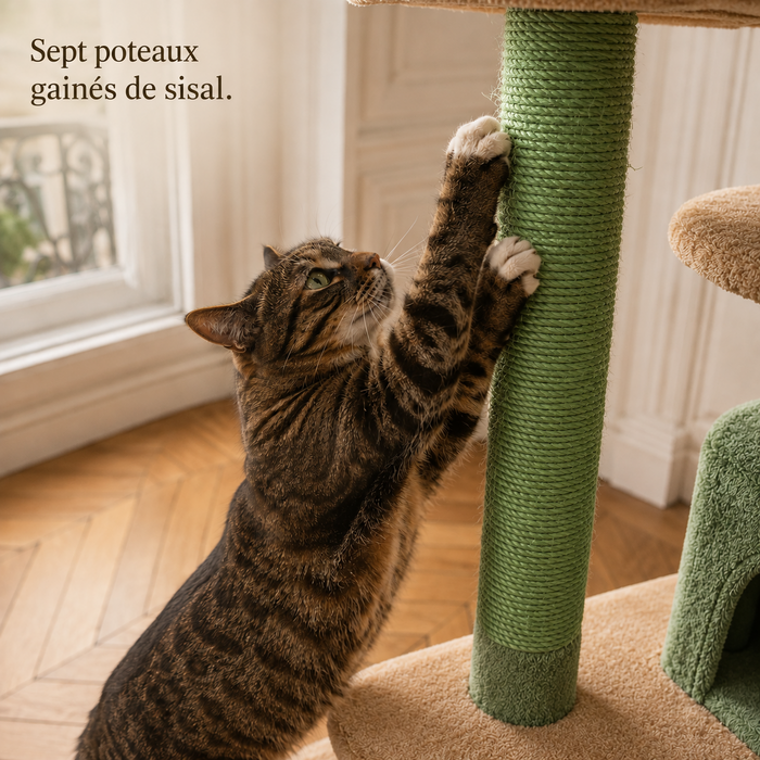 Chat qui griffe un poteau en sisal teinté vert de l'arbre à chat 184 cm vert