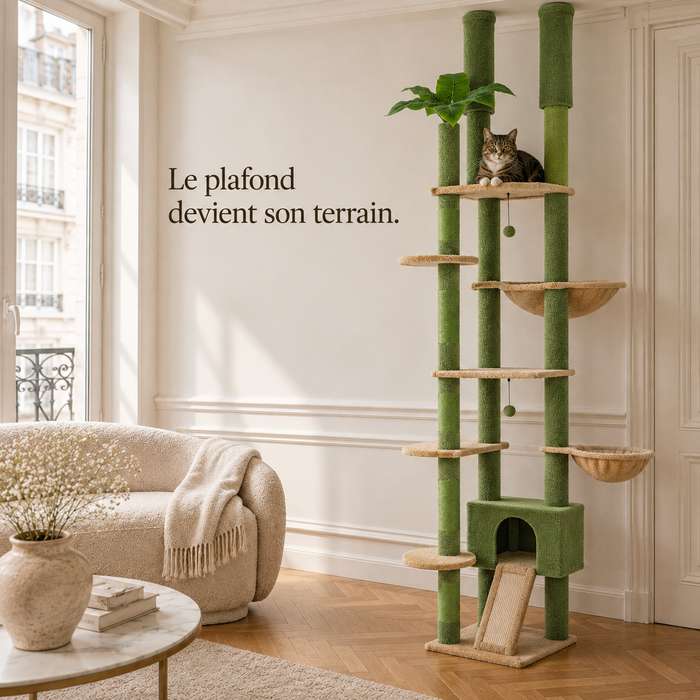 Arbre à chat sol-plafond à colonne verte calé du sol au plafond dans un salon, un chat sur un plateau