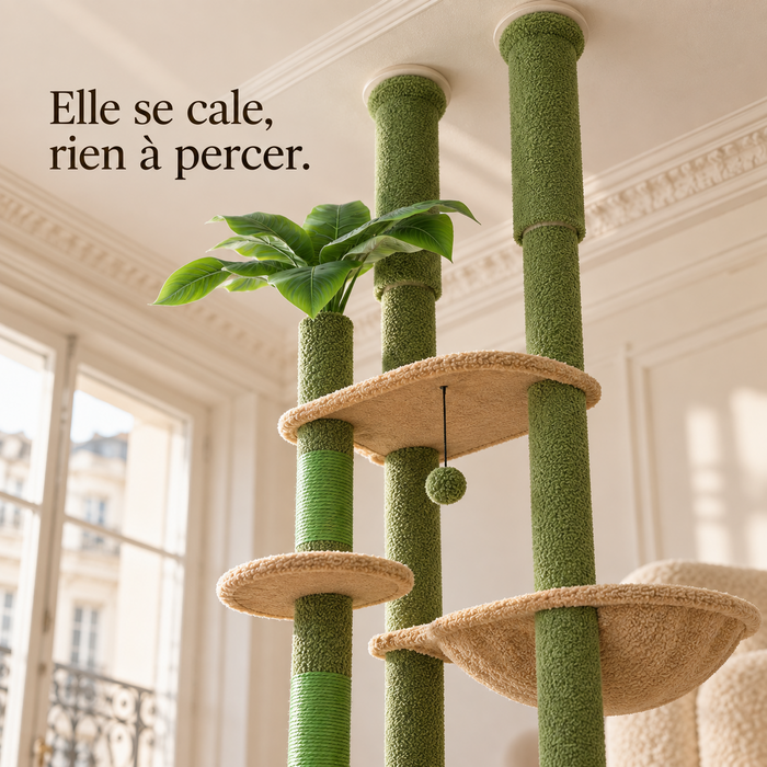 Embouts de calage de l'arbre à chat sol-plafond à colonne verte contre le plafond, sans perçage