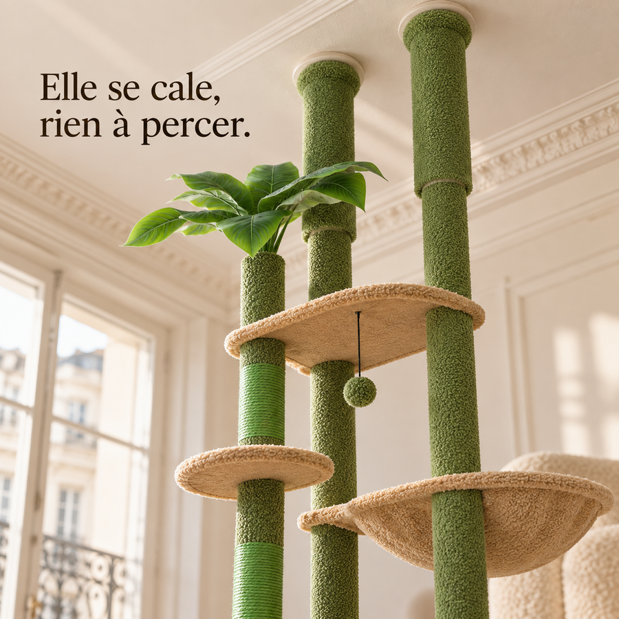 Embouts de calage de l'arbre à chat sol-plafond à colonne verte contre le plafond, sans perçage