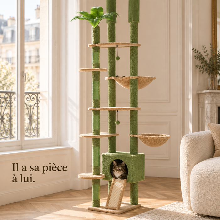 Chat installé dans la niche fermée de l'arbre à chat sol-plafond à colonne verte