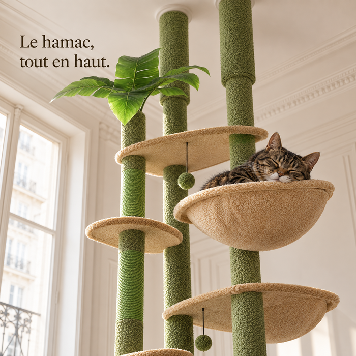 Chat endormi dans le hamac haut de l'arbre à chat sol-plafond à colonne verte