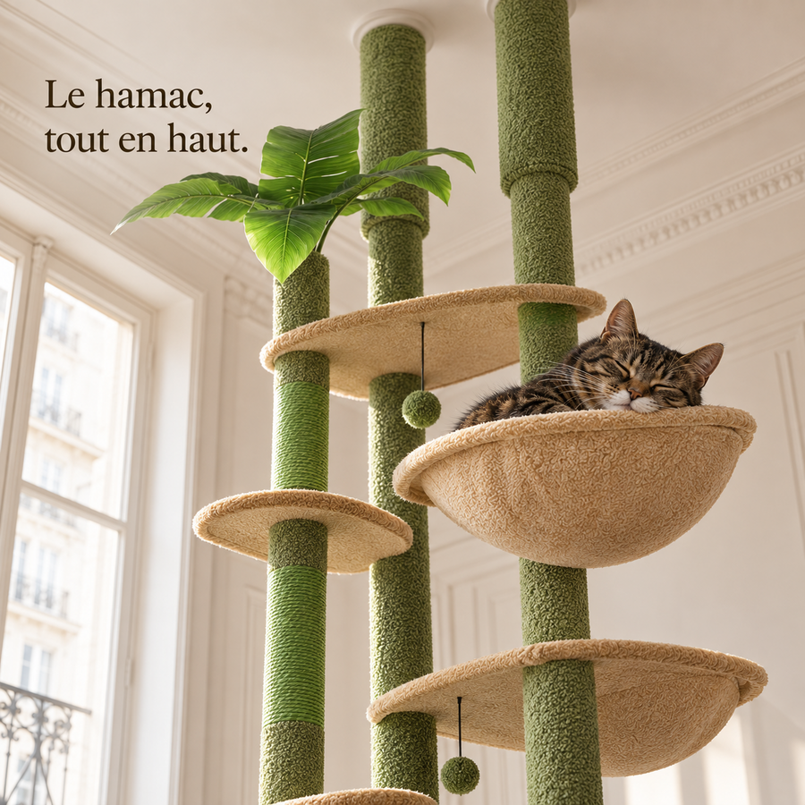 Chat endormi dans le hamac haut de l'arbre à chat sol-plafond à colonne verte