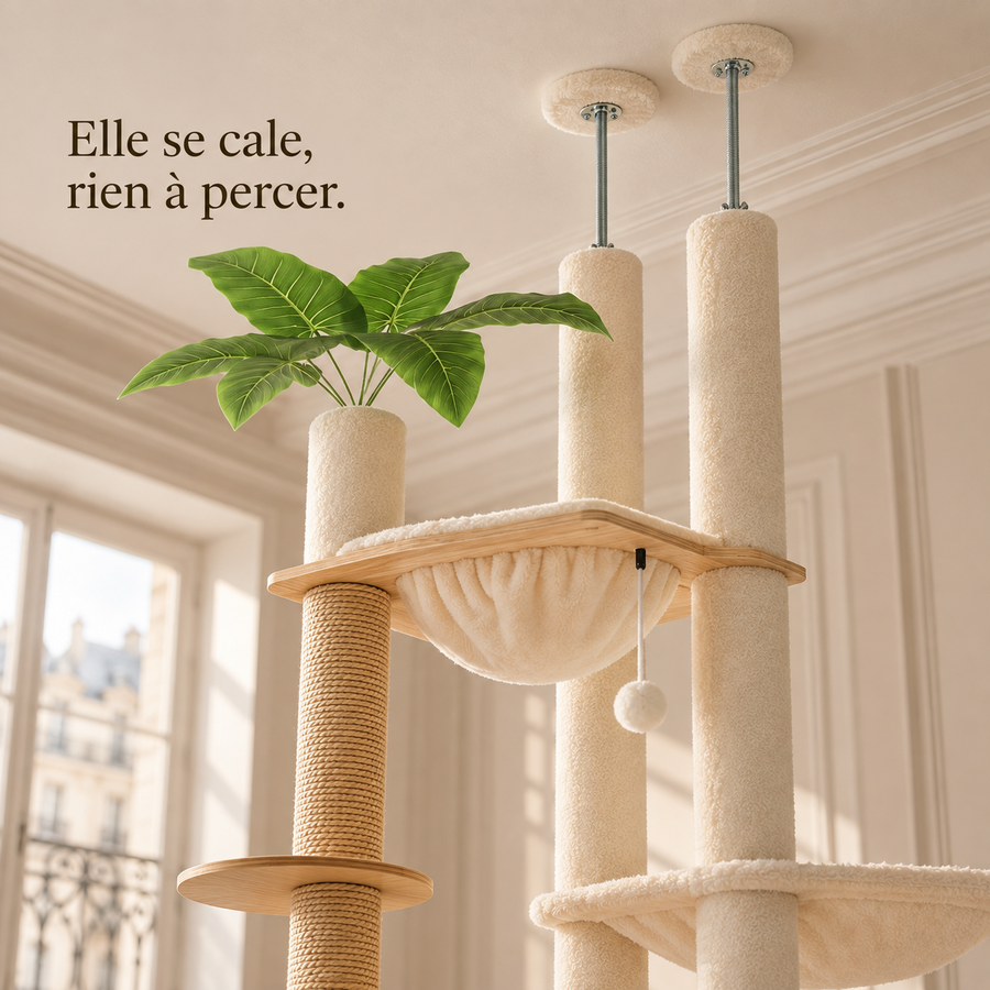 Embouts de calage de l'arbre à chat sol-plafond beige contre le plafond, sans perçage