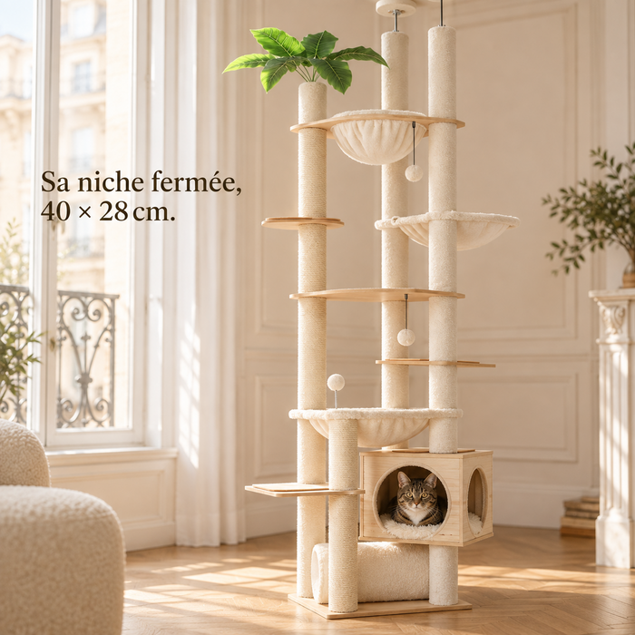 Chat installé dans la niche fermée de l'arbre à chat sol-plafond beige