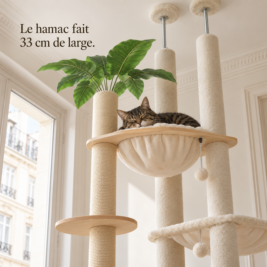 Chat endormi dans le hamac haut de l'arbre à chat sol-plafond beige