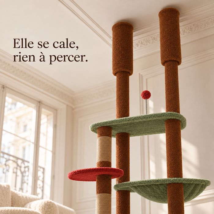 Embouts de calage de l'arbre à chat sol-plafond brun contre le plafond, sans perçage